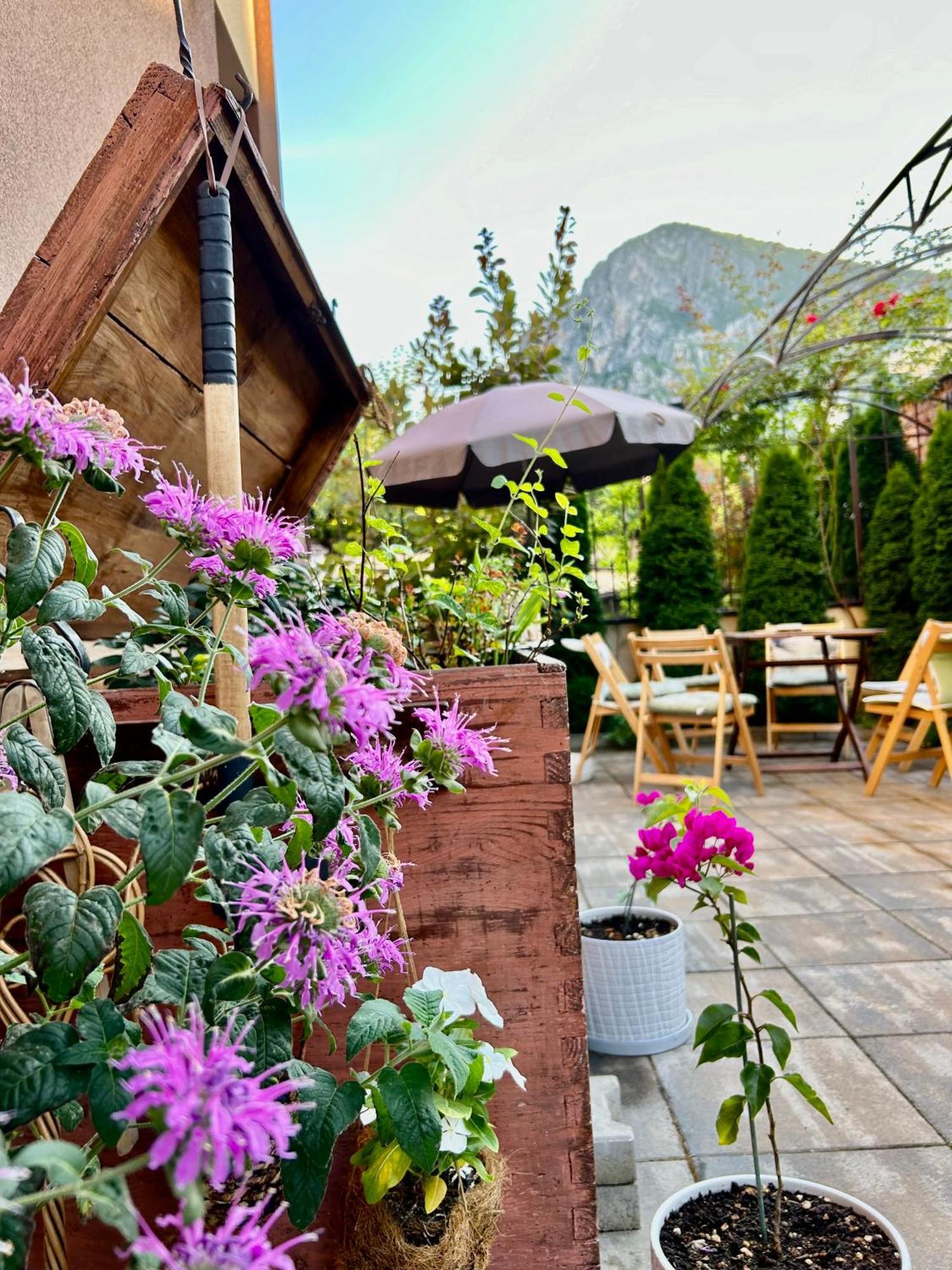 Comfort Luxury Apartments Vratsa Eksteriør bilde